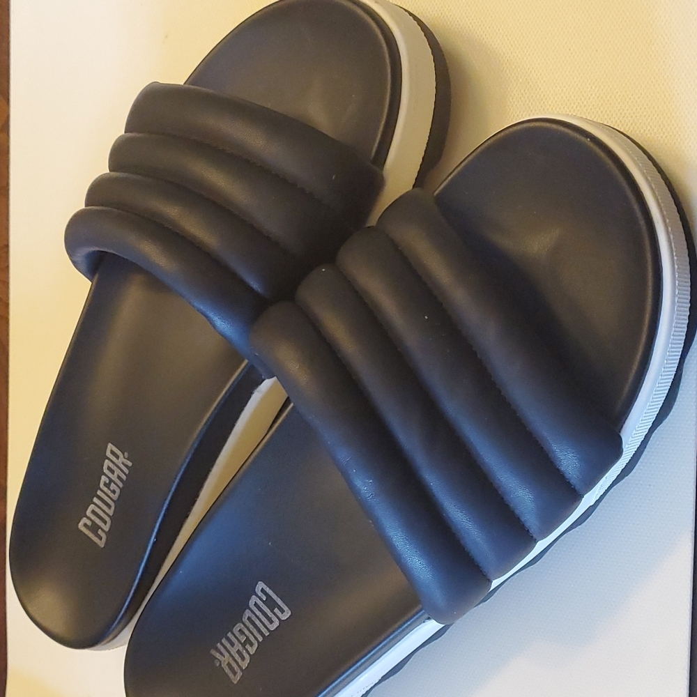 Cougar Prato Slides